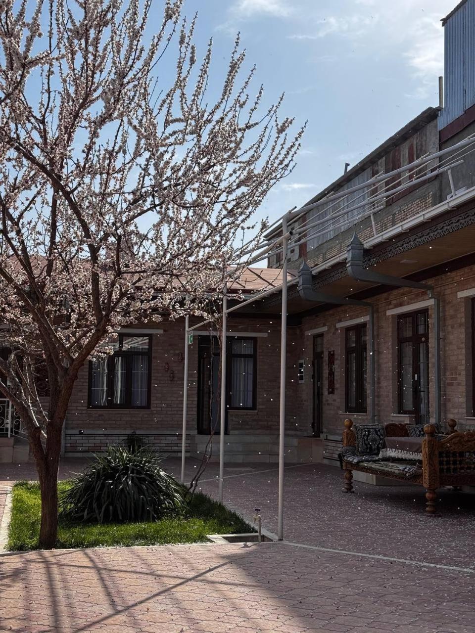 Salomat Guest House Samarkand Exteriér fotografie